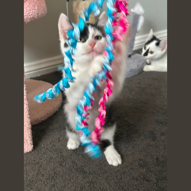 Photo of Parkway 💕