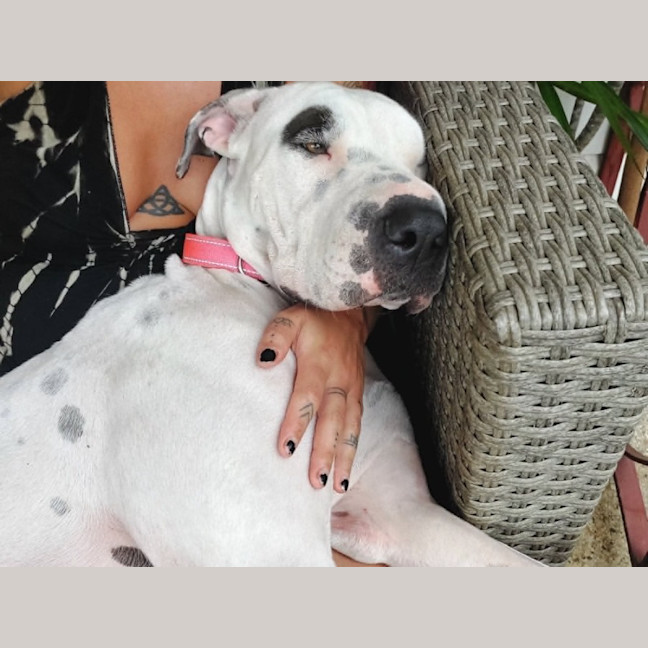 Photo of Lilli