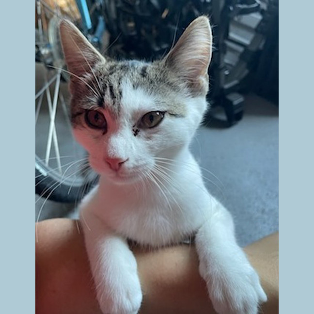 Photo of Ky (George)