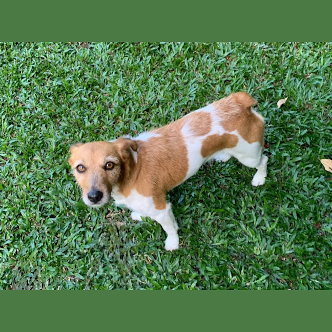 Photo of Luna