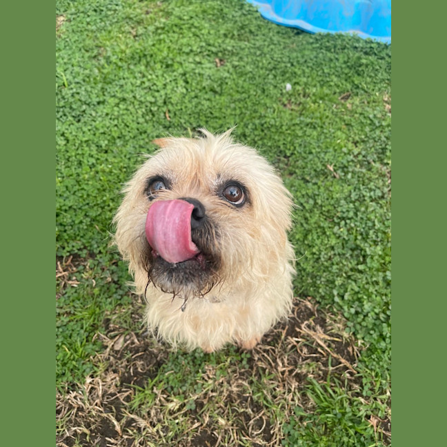 Photo of Izzy
