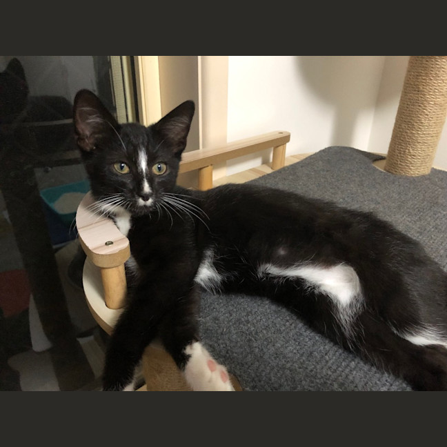 Photo of Crackers    K30