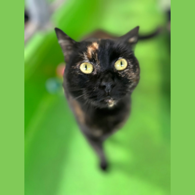 Photo of Molly