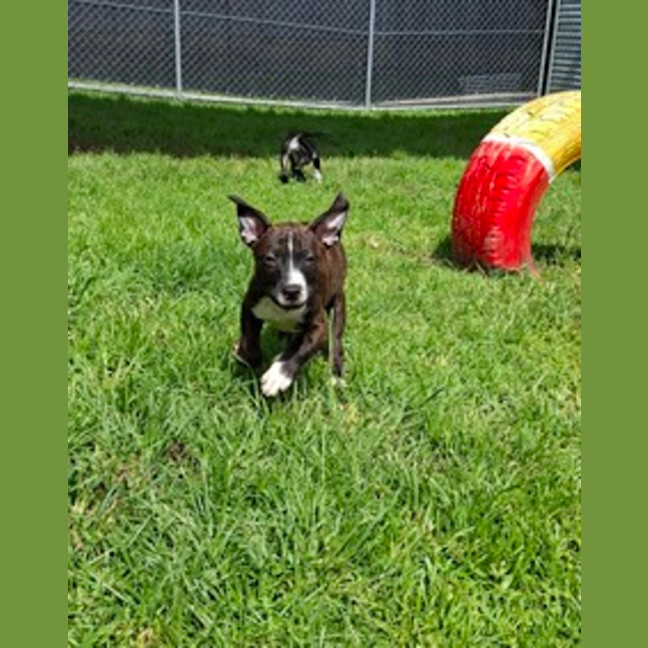 Photo of Finn