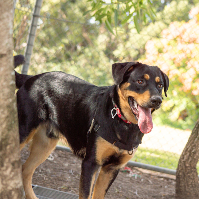 Photo of Diego