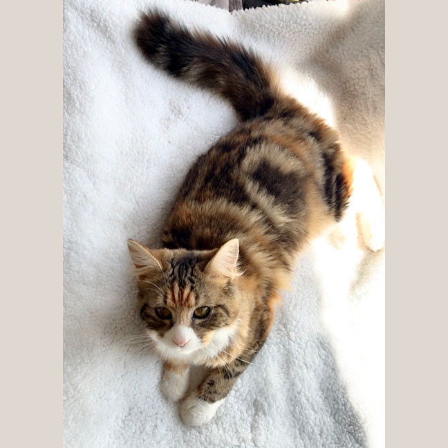 Photo of Sophia