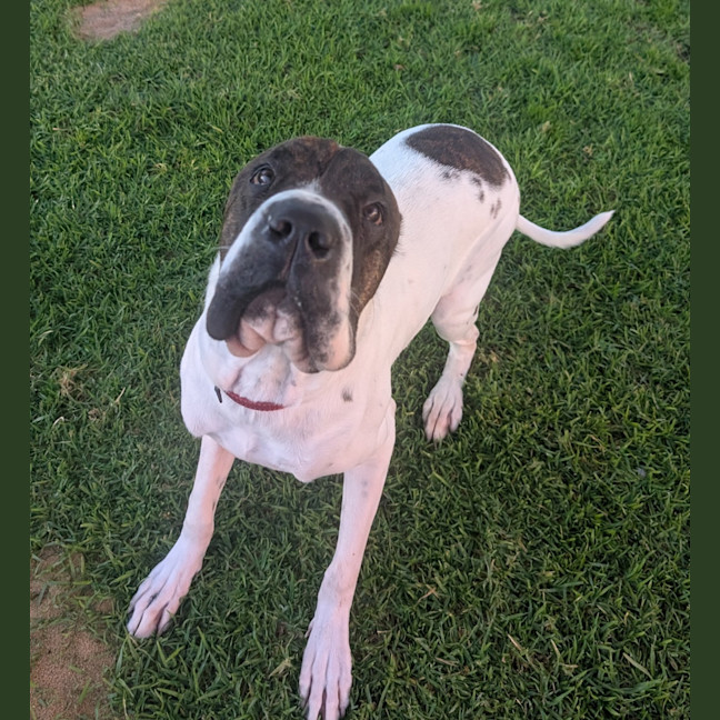 Photo of Charlie