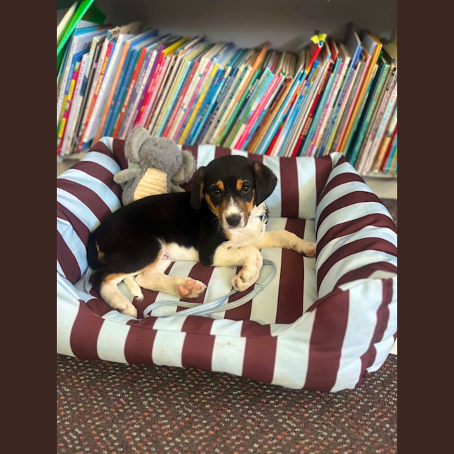Photo of Ted 