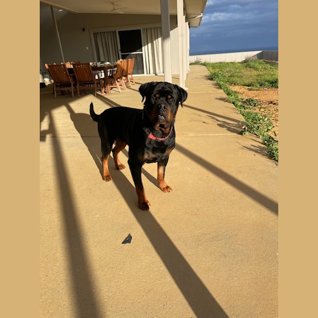 Photo of Stanley