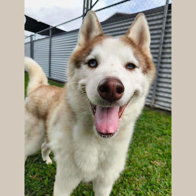 Photo of Zena