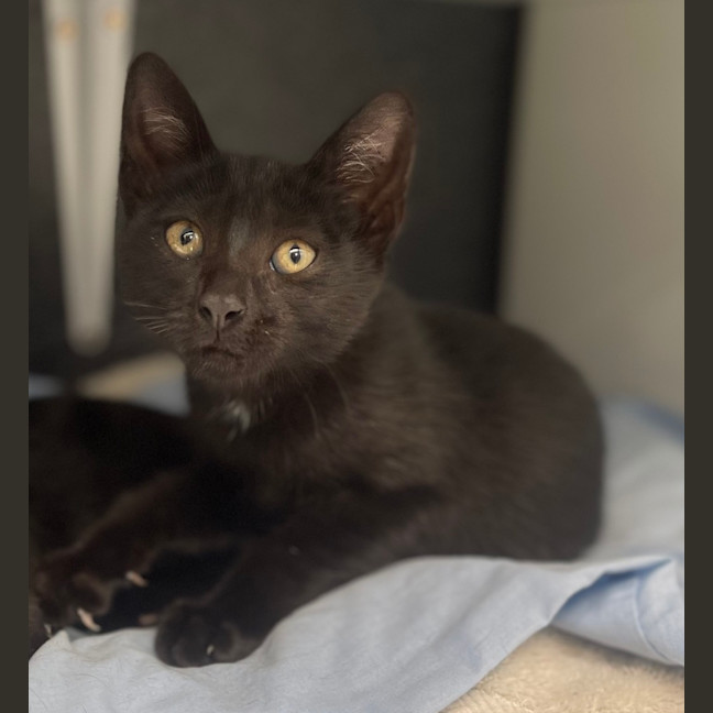 Photo of Milly