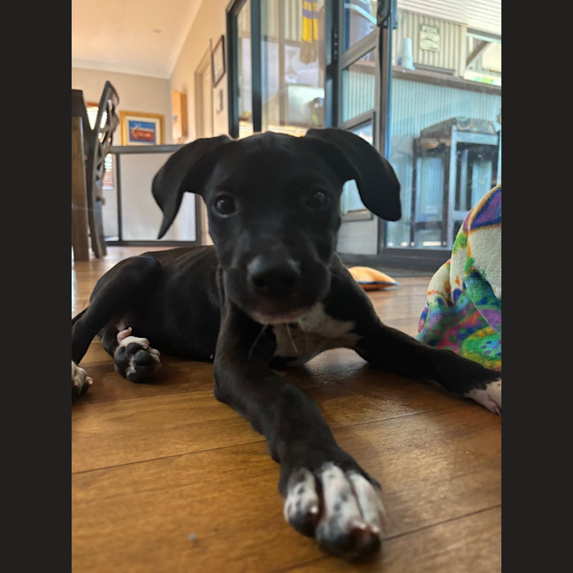 Photo of Freya