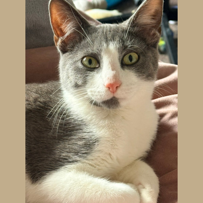 Photo of Aj
