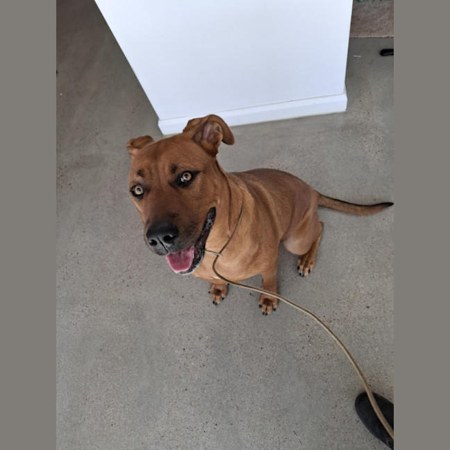 Photo of Bella 62/2026