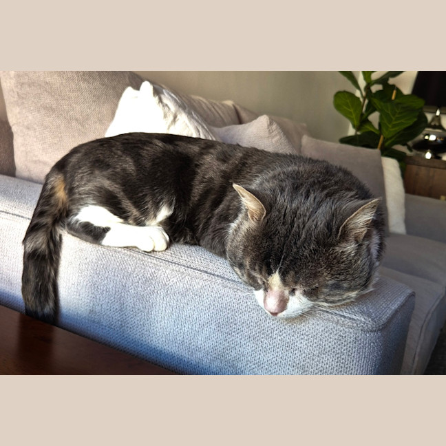 Photo of Tom