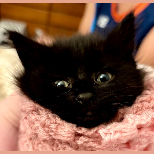 Photo of Tylenol Aka Ty