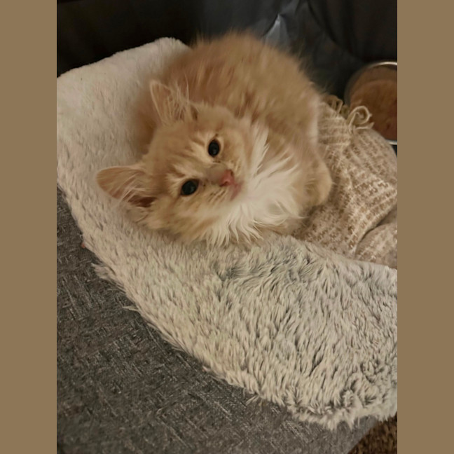 Photo of Astrid
