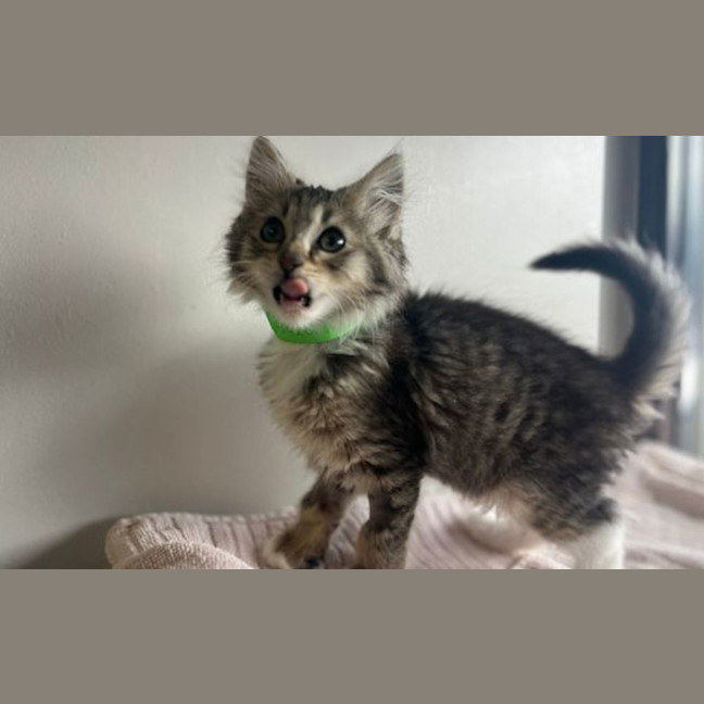 Photo of Fiyero