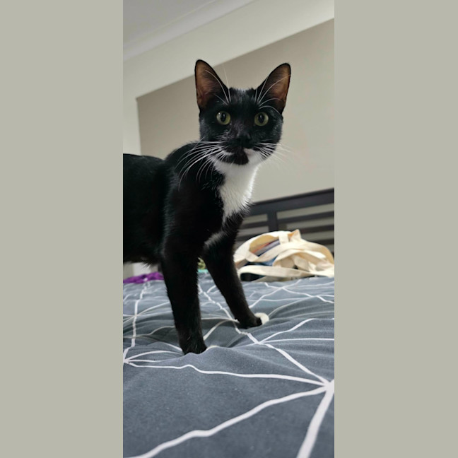Photo of Tessa
