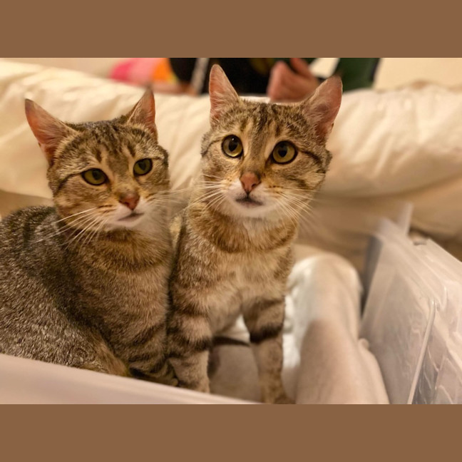 Photo of Betty & Olivia ❤️