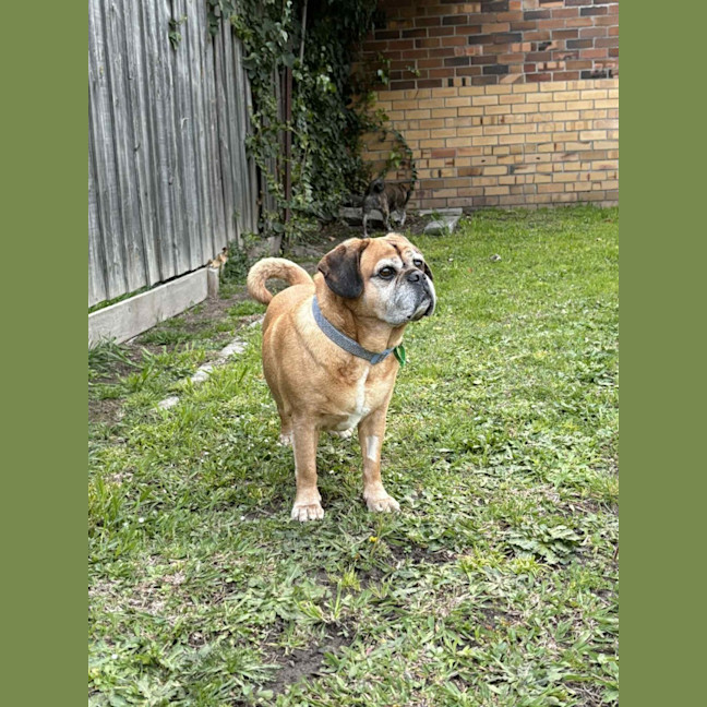 Photo of Covah And Teddy