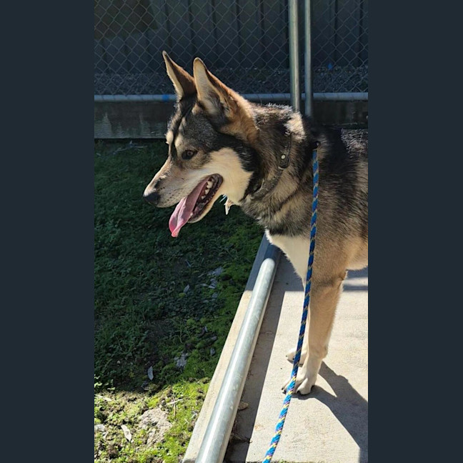 Photo of Coyotee Pete