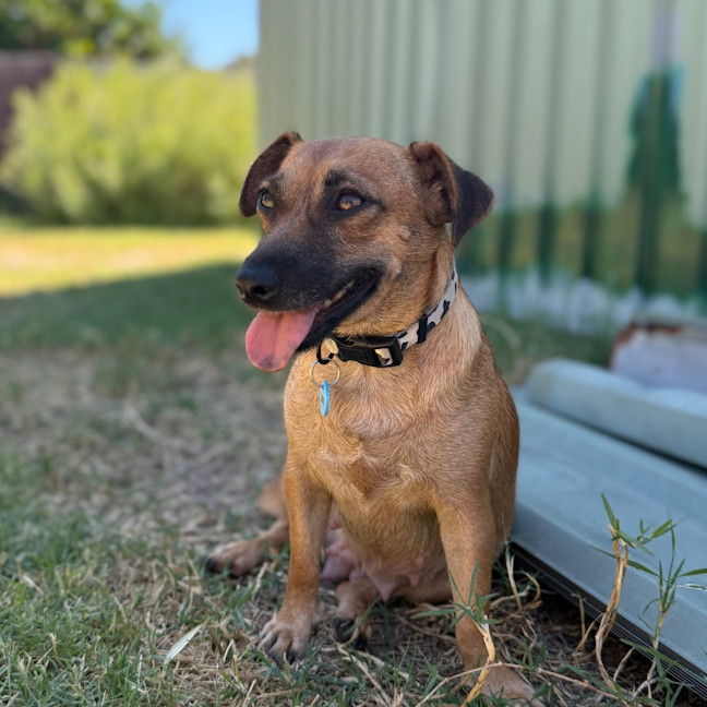 Photo of Maisey
