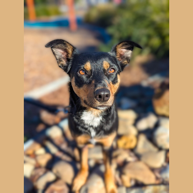 Photo of Isla 