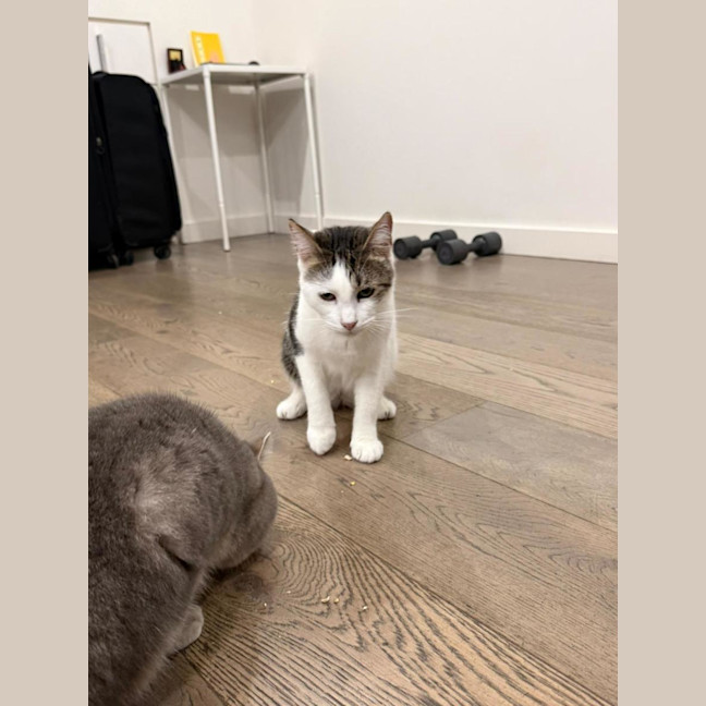 Photo of Mia Boy
