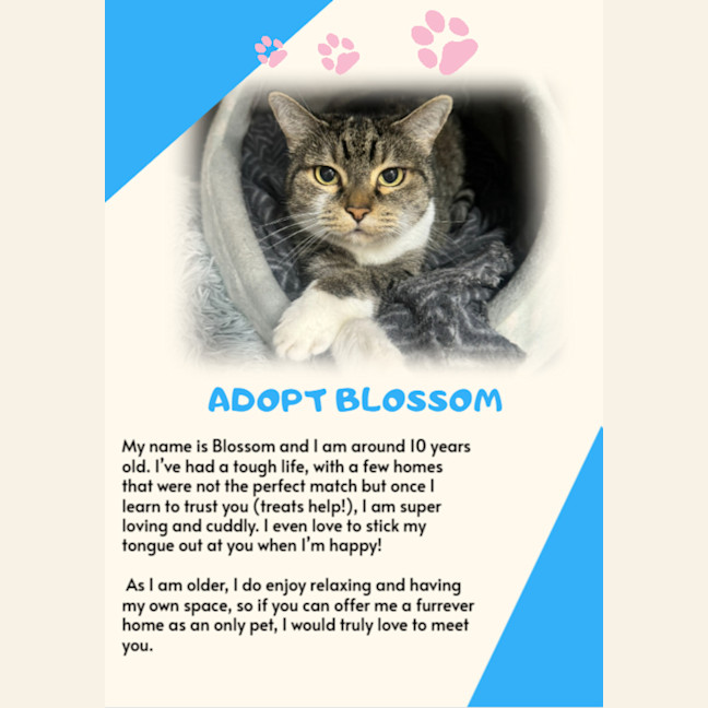Photo of Blossom