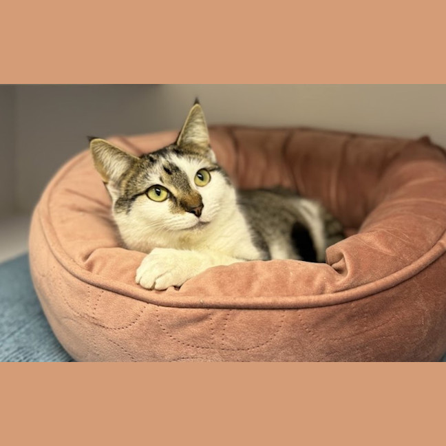 Photo of Mabel