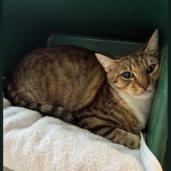 Photo of Maggie