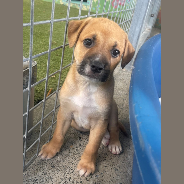 Photo of D1205 Miles