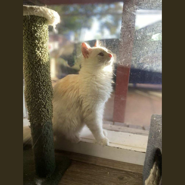 Photo of Mr Wimberley 