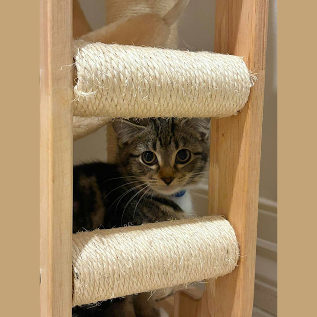 Photo of Suki