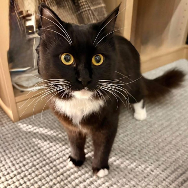 Photo of 11938   Rachael