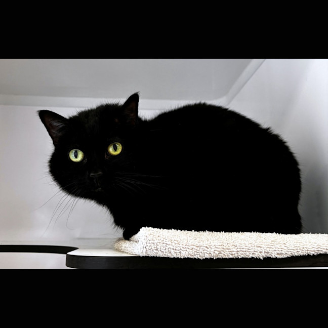 Photo of Ellie Sua015485