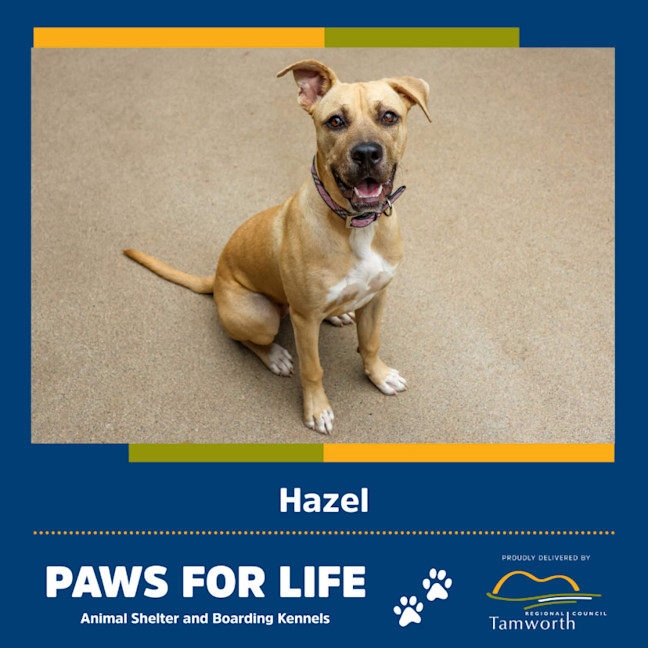 Photo of Hazel