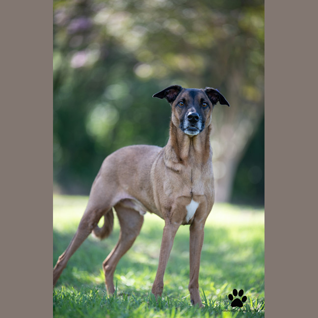 Photo of Fenrir
