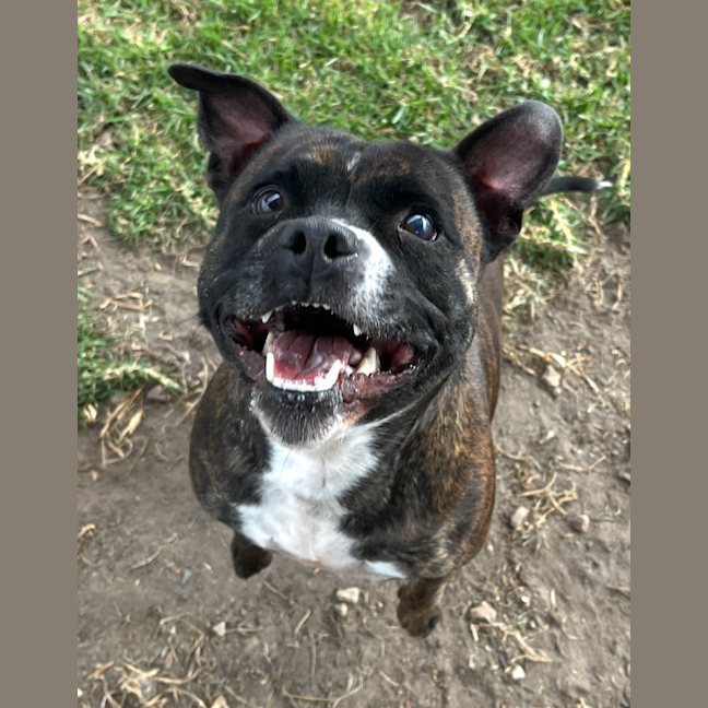 Photo of Lola