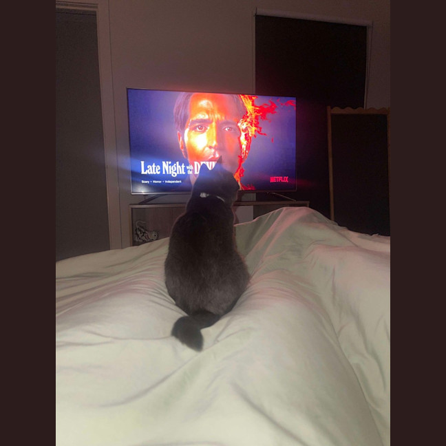 Photo of Mia (Memeow)