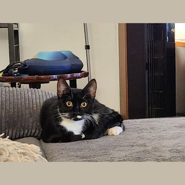 Photo of Dotty