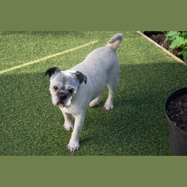 Photo of Molly Wensleydale