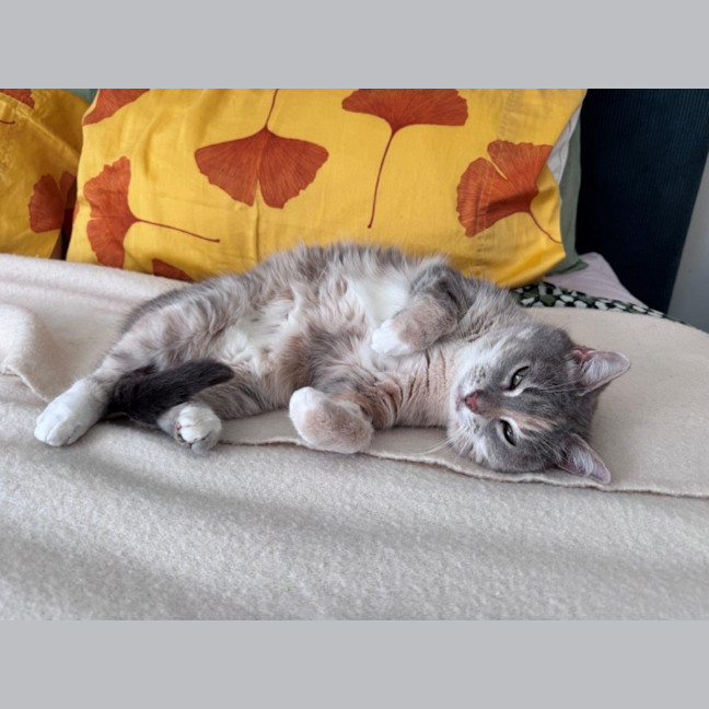 Photo of Susan Uffelman