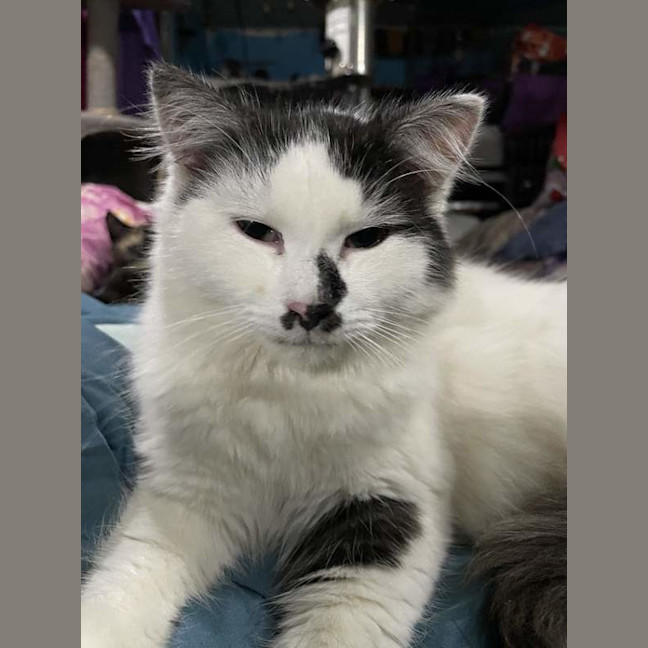 Photo of Drooly