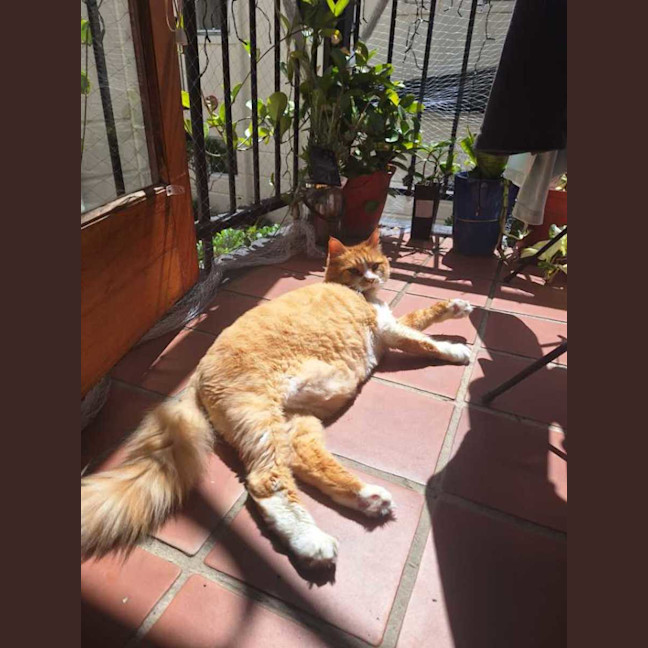 Photo of 😻 Eugene (Gene) 