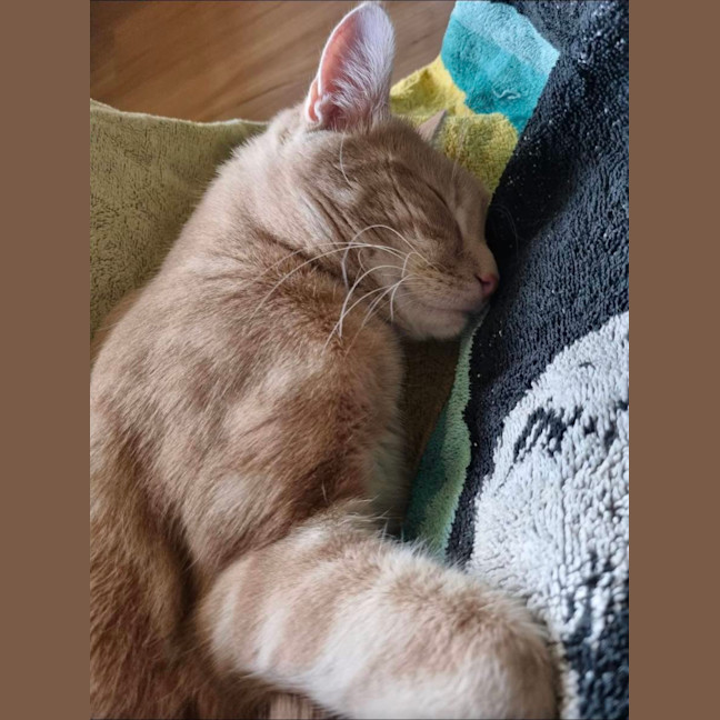 Photo of Champy