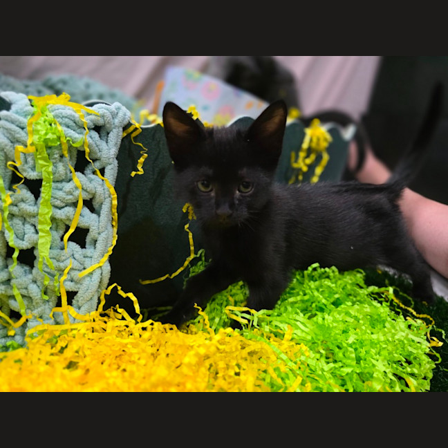 Photo of Jelly Belly