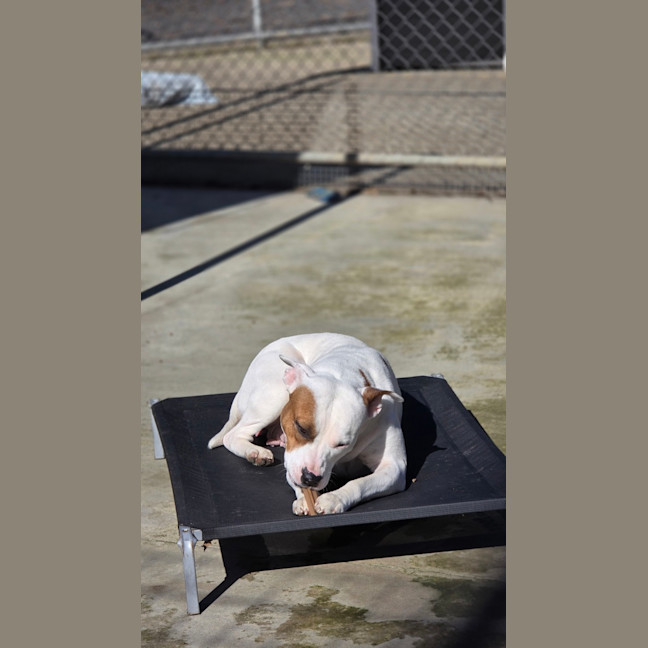 Photo of Buffy