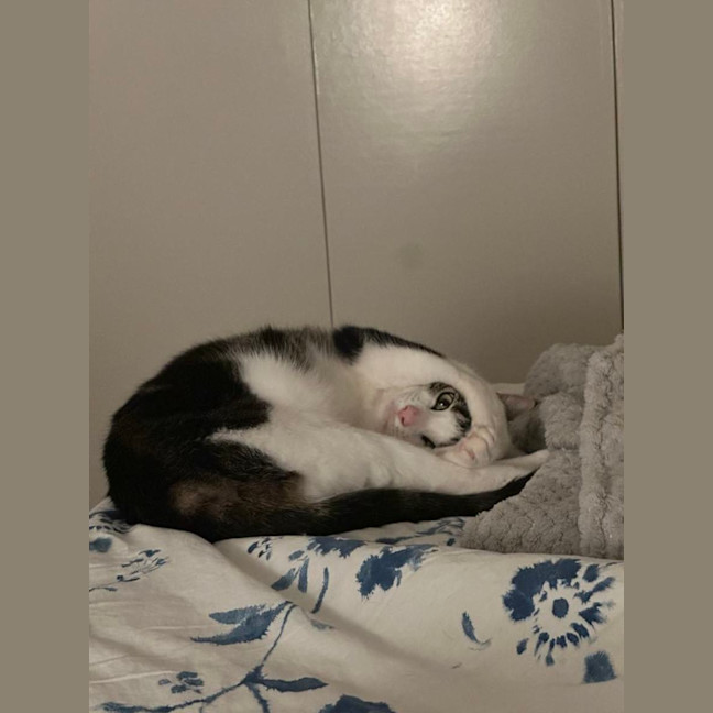 Photo of Coffee   Located In Thornbury